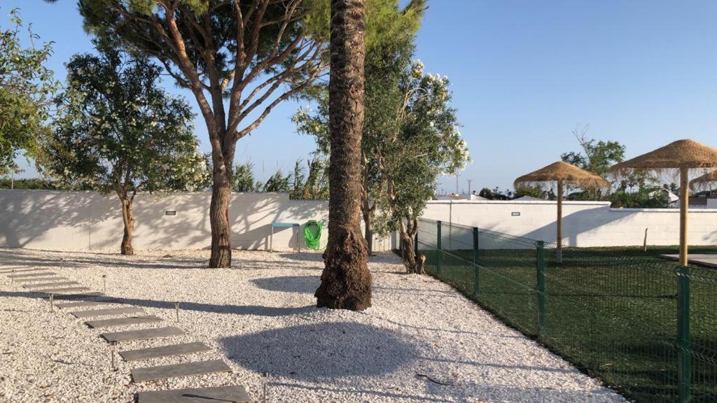 Villas Santa Ana Conil De La Frontera Exteriér fotografie